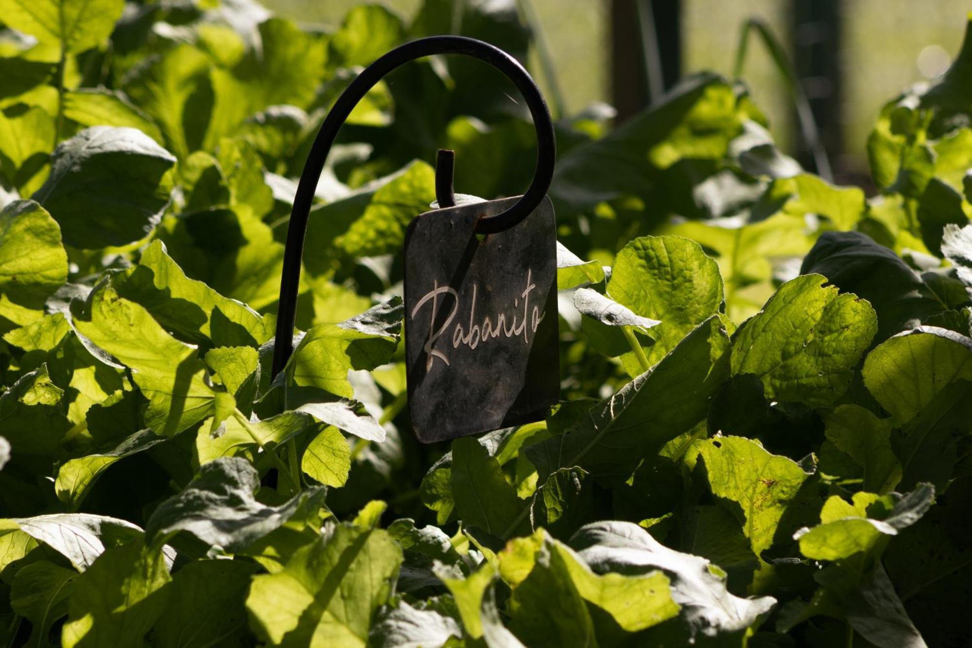 El Colibri - Relais & Chateaux Santa Catalina  Екстер'єр фото